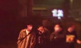 名人最新爆料视频大全,视频大全背后的惊人真相