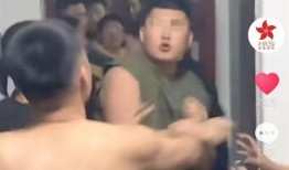 热搜爆料打架视频大全最新,最新冲突瞬间汇总