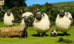 小羊最新爆料视频大全播放,精彩瞬间尽收眼底