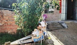 五华水寨爆料视频大全最新,揭秘神秘水寨的传奇故事与美丽风光