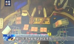 迪拜爆料网赌案件最新,揭秘跨国赌博犯罪网络