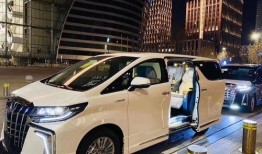 埃尔法最新消息爆料视频