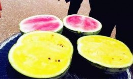 最新吃瓜爆料吉林,揭秘神秘事件背后的真相！”