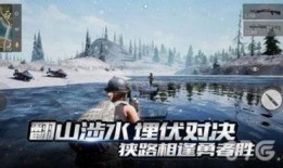 吃鸡十大爆料排名榜最新,最新排名榜背后的秘密与惊喜