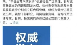 丰县八孩爆料最新消息,真相逐步浮出水面