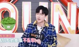 刘宇宁最新爆料合集,揭秘娱乐圈幕后真相