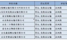 泰安企业爆料最新消息,揭秘行业动态与重大突破！