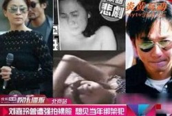 刘嘉玲爆料视频事件最新,真相大白，娱乐圈再掀波澜