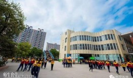 普宁职校爆料事件最新,真相与争议交织的校园风云