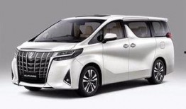 埃尔法最新消息爆料视频