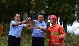 淄博警察爆料事件最新,真相与争议交织的警界风云