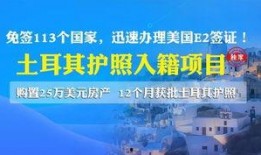土耳其移民最新爆料,揭秘移民潮背后的真相与挑战