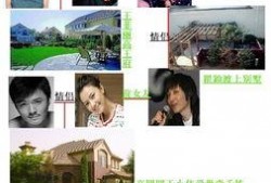 最新明星爆料大全网站,明星动向大揭秘！