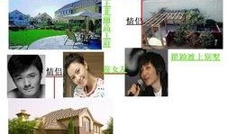 最新明星爆料大全网站,明星动向大揭秘！