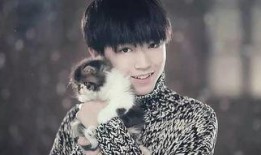 陈星宇重庆爆料最新消息,揭秘最新热点事件内幕