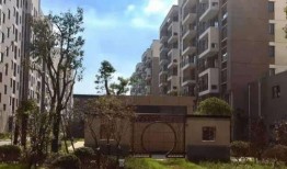 嘉宏房地产爆料最新消息,揭秘神秘项目，未来市场风向标揭晓！