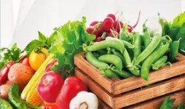 惠州食物爆料案件最新,揭露食品安全背后的真相