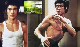 李小龙爆料大全最新,揭秘武术宗师不为人知的传奇人生